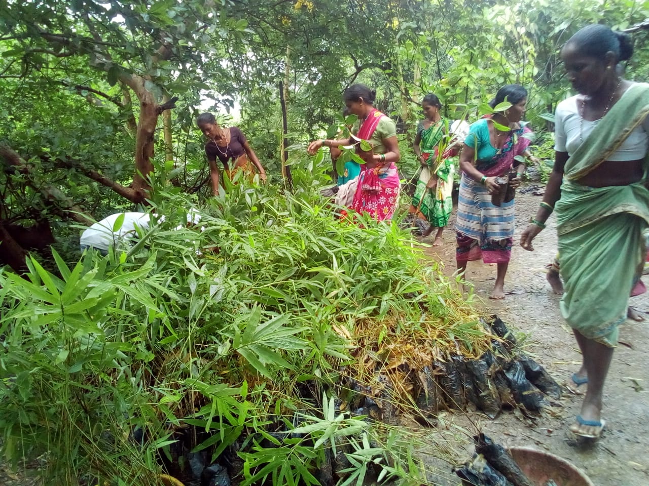 community development